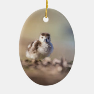 Goose Chick Nature Photo Ceramic Tree Decoration