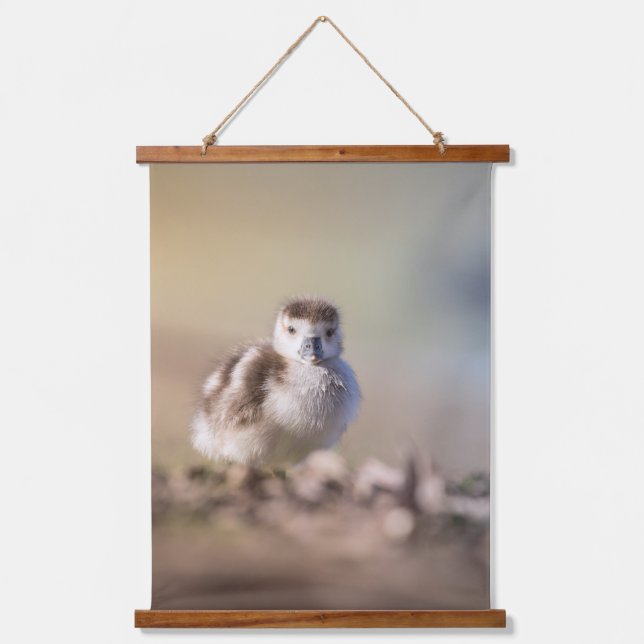 Goose Chick Nature Photo Hanging Tapestry (Front)