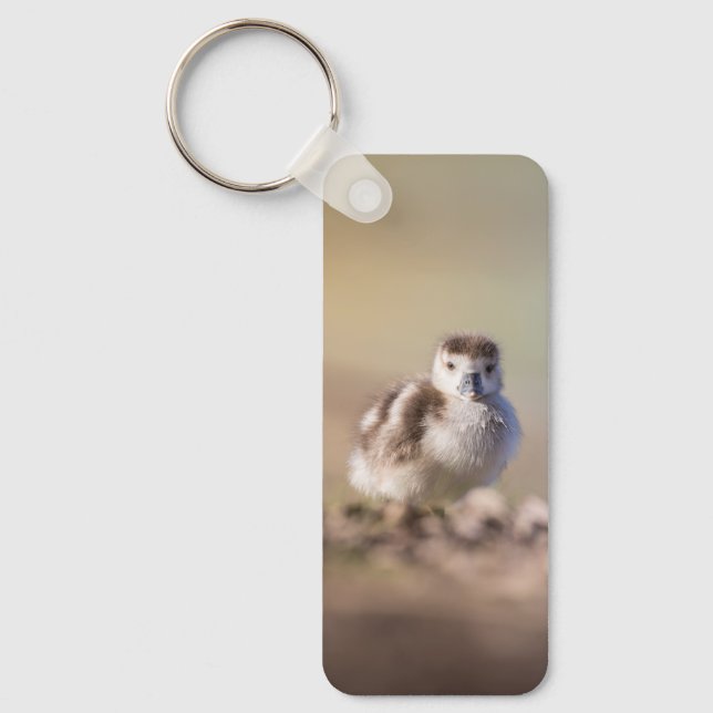 Goose Chick Nature Photo Key Ring (Front)