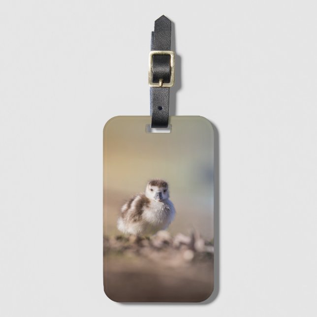 Goose Chick Nature Photo Luggage Tag (Front Vertical)