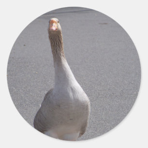 Goose! Classic Round Sticker