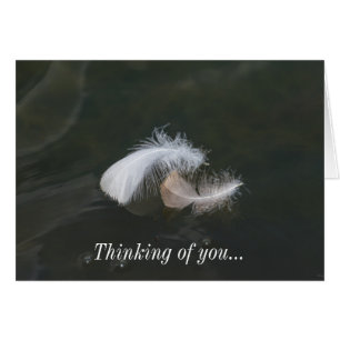 Goose Feathers Floating