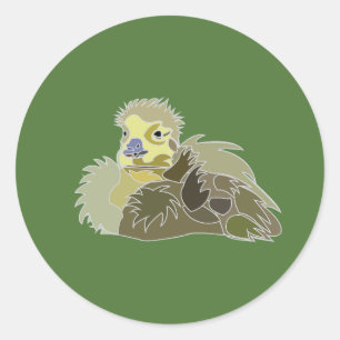 Goose Gosling Baby Goose  Classic Round Sticker