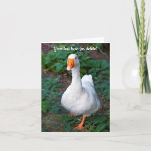 Goose Greeting card