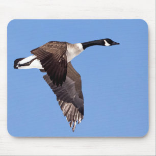 Goose In Flight Mouse Mat