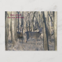 Goose Island, LaCrosse, Wisconsin