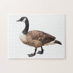 Goose Jigsaw Puzzle