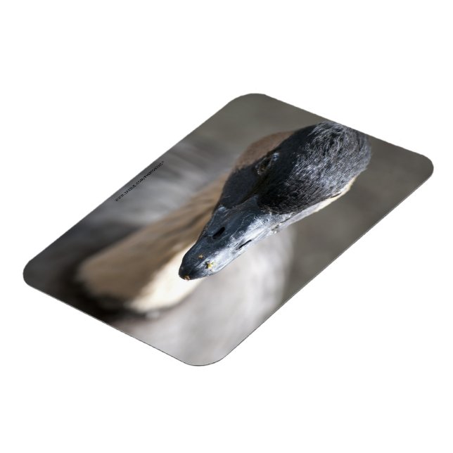 Goose Magnet (Left Side)
