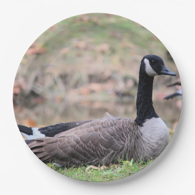 Goose Paper Plate (Front)