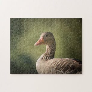 Goose Photo Jigsaw Puzzle