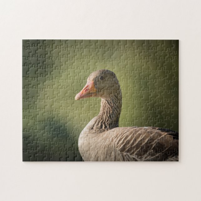 Goose Photo Jigsaw Puzzle (Horizontal)