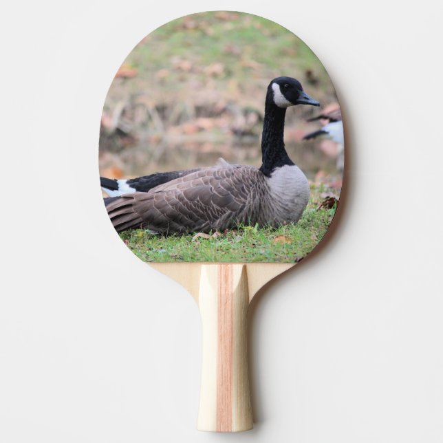 Goose Ping Pong Paddle (Front)