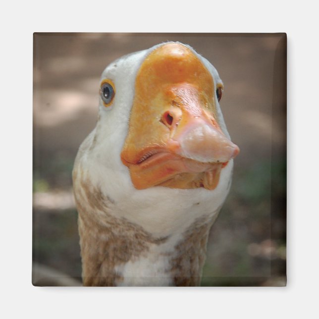 Goose Portrait Magnet (Front)