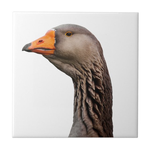Goose portrait tile (Front)