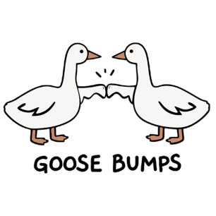Goose pumps poster