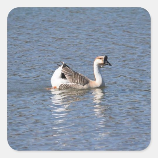 Goose Sticker