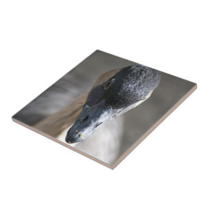 Goose Tile