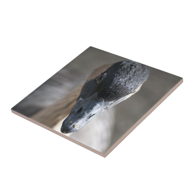 Goose Tile (Side)