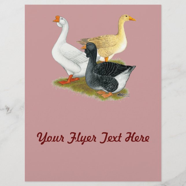 Goose Trio Flyer (Front)