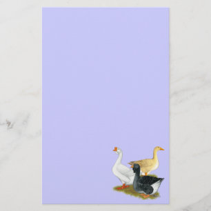 Goose Trio Stationery
