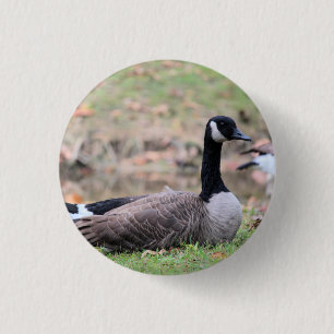 Goose      trucker hat 3 cm round badge
