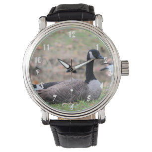 Goose Watch