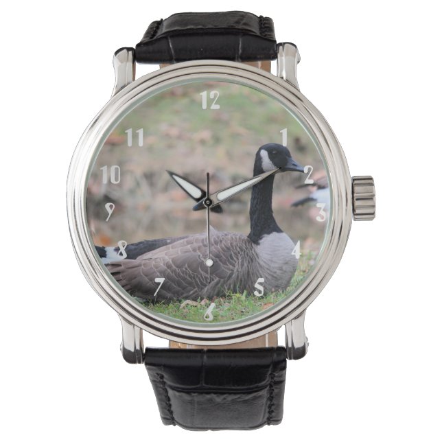 Goose Watch (Front)