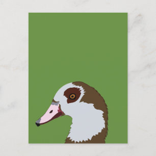 Goose Waterfowl Bird Goose Postcard