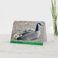 Goose with baby geese birthday