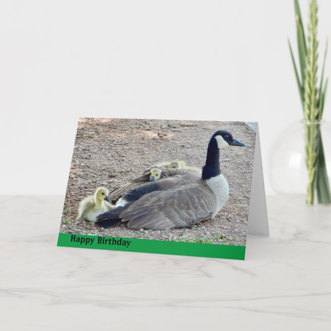 Goose with baby geese birthday card (Front)