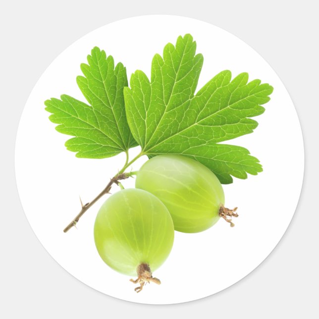 Gooseberries Classic Round Sticker (Front)