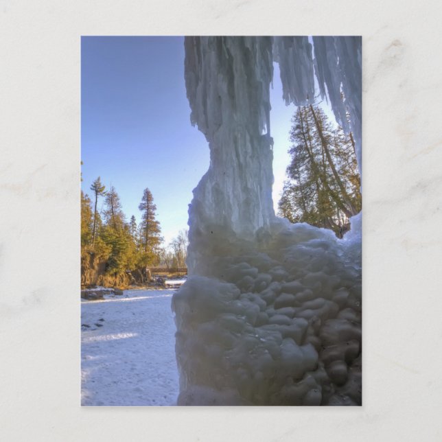 Gooseberry Frozen Frame Postcard (Front)