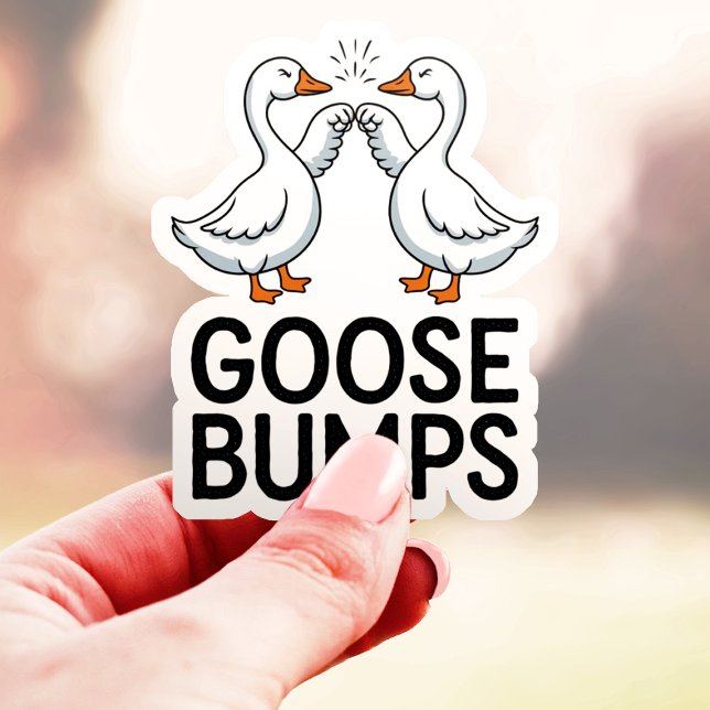 Goosebumps  Funny Bird Friends Vinyl (Creator Uploaded)