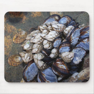 Goosenecks and Mussels Mouse Mat