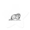 Gopher