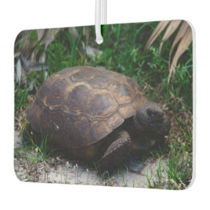 Gopher Tortoise Car Air Freshener