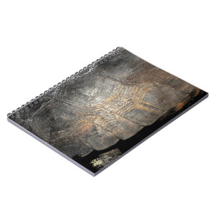 Gopher Tortoise Shell Notebook