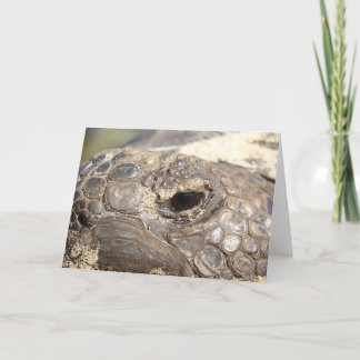 Gopher Turtle not happy Card