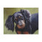 Gordon Setter Dog Art Postcard