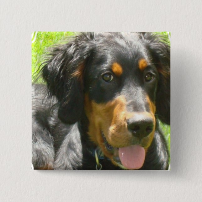 Gordon Setter Dog Pin (Front)