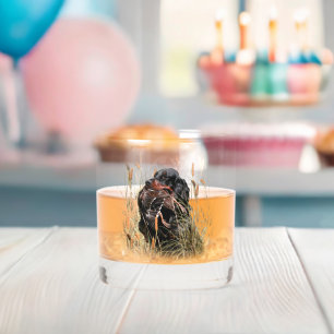 Gordon Setter, Duck hunting Whiskey Glass