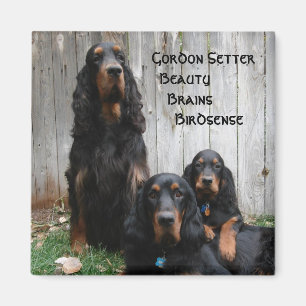 Gordon Setter Generations Magnet
