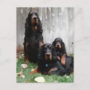 Gordon Setter Generations Painting Postcard