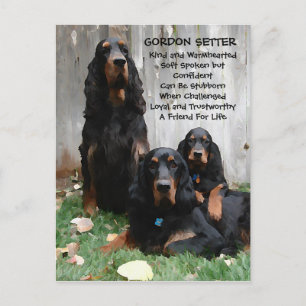 Gordon Setter Generations Painting Postcard