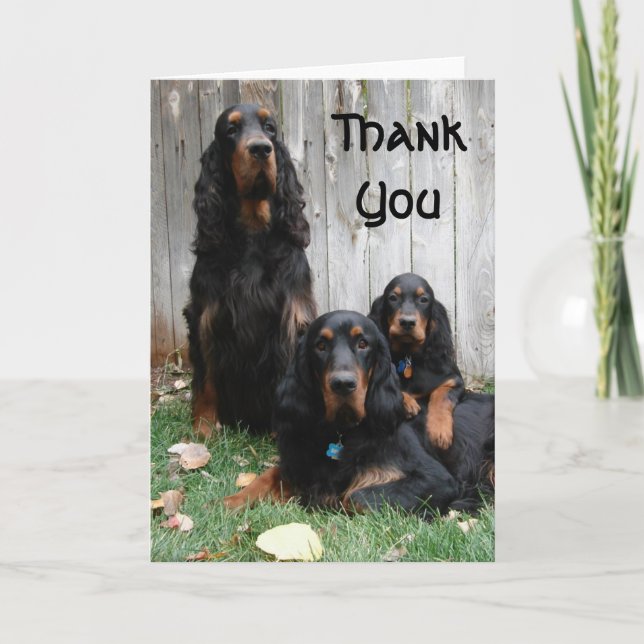 Gordon Setter Generations Thank You Note Card (Front)