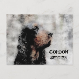 Gordon Setter Grunge Postcard
