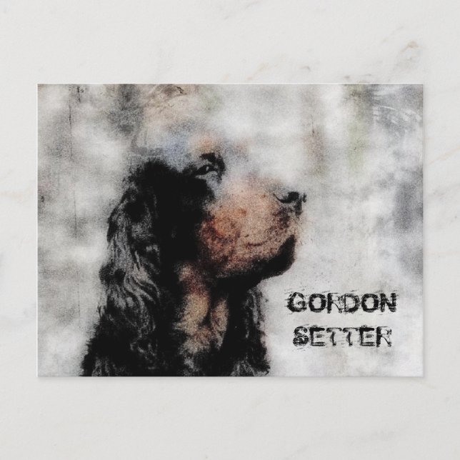 Gordon Setter Grunge Postcard (Front)