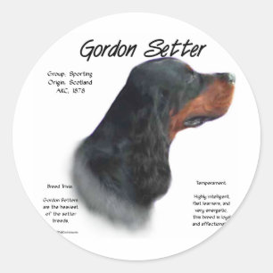 Gordon Setter History Design Classic Round Sticker