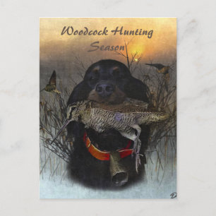 Gordon Setter Holiday Postcard