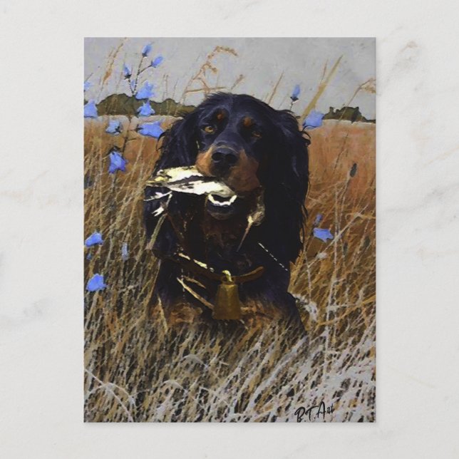 Gordon Setter    Holiday Postcard (Front)